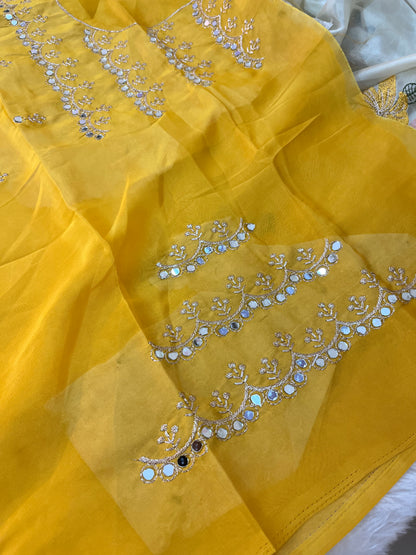 Organza tissue premium quality saree - HOA129