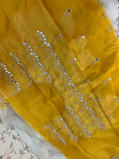 Organza tissue premium quality saree - HOA129